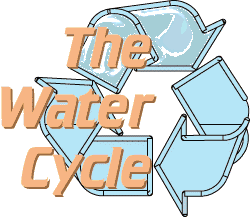 Water Cycle Storyboard - Water Cycle