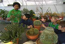 Roderick and Friends with Cacti in Greenhouse