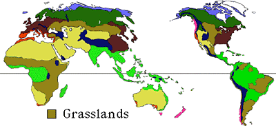 Grasslands Of The World
