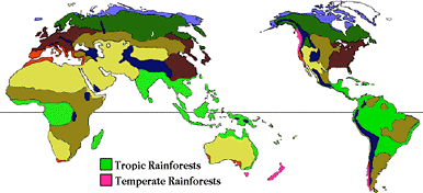tropical forest map