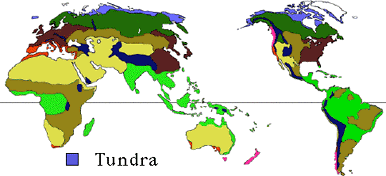 tundra biome location