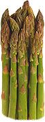 Asparagus