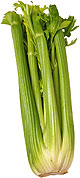 Celery