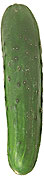 Cucumber
