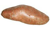 Sweet Potato