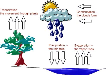 water cycle condensation