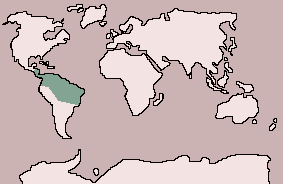 Range of Sunbittern