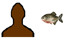 Size of Red Piranha