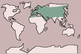 Range of Eurasian Otter