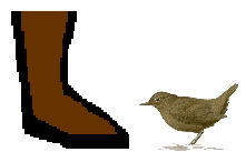 Size of Dipper