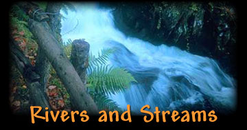 Streams and Rivers