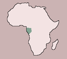 Range of Cape Lopez Lyretail