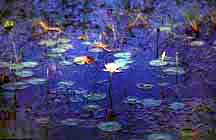 Lotuses