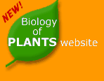 Biology of Plants website