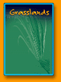 Grasslands