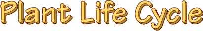 Plant Life Cycle