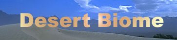 MBGnet's Virtual 
Desert Biome