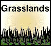 Grasslands Biome