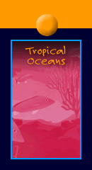 Tropical Oceans