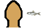 Size of Lanternfish