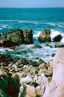 Rocky Shoreline