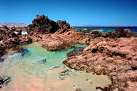 Tide Pool