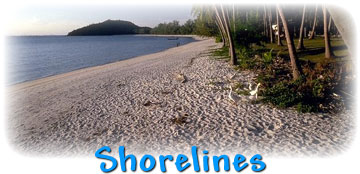 Shorelines