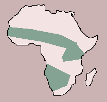 Range of Giraffe