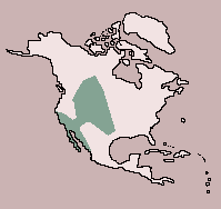 Range of Pronghorn