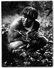 Rainforest Dweller