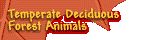 Temperate Deciduous Forest Animals