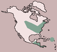 Range of Yellow-bellied Sapsucker