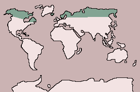 Range of Snow Bunting