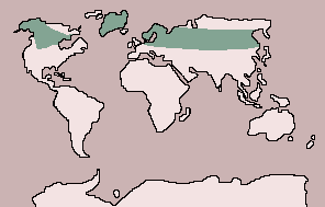 Range of Caribou