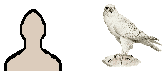 Size of Gyrfalcon