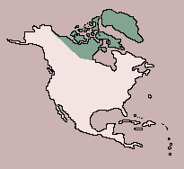 Range of Musk Ox