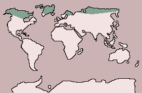 Range of Ruddy Turnstone
